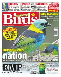 No. 5947 Rainbow Bird Nation 
                issue No. 5947 Rainbow Bird Nation