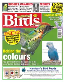 No. 5949 Behind The Colours 
                issue No. 5949 Behind The Colours