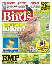 No. 5951 Britain's busiest builder? 
                issue No. 5951 Britain's busiest builder?