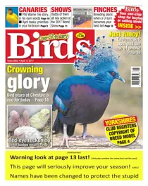No. 5952 Crowning Glory  
                issue No. 5952 Crowning Glory 