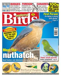 No. 5953 Meet the nuthatch 
                issue No. 5953 Meet the nuthatch