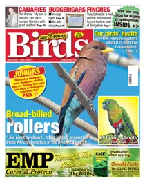 No. 5954 Broad-billed rollers 
                issue No. 5954 Broad-billed rollers