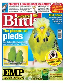 No. 5955 The Pleasure of Pieds 
                issue No. 5955 The Pleasure of Pieds