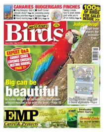 No. 5956 Big can be beautiful 
                issue No. 5956 Big can be beautiful