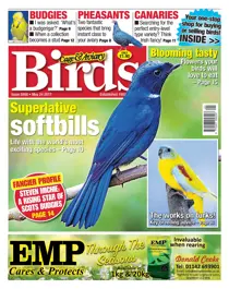 No. 5958 Superlative softbills 
                issue No. 5958 Superlative softbills