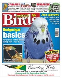 No.5767 Budgerigar basics 
                issue No.5767 Budgerigar basics