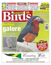 No.5769 Nestlings Galore 
                issue No.5769 Nestlings Galore