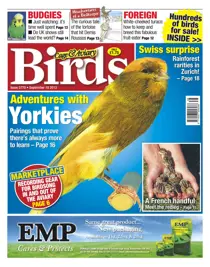 No.5770 Adventures with Yorkies 
                issue No.5770 Adventures with Yorkies