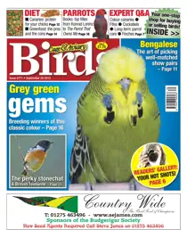 No.5771 Grey Green Gems 
                issue No.5771 Grey Green Gems