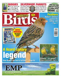 No.5773 A Lizard Canary Legend 
                issue No.5773 A Lizard Canary Legend