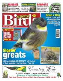 No.5778 Gloster Greats 
                issue No.5778 Gloster Greats