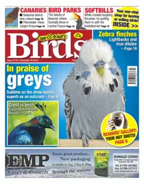 No.5779 In Praise of Greys 
                issue No.5779 In Praise of Greys