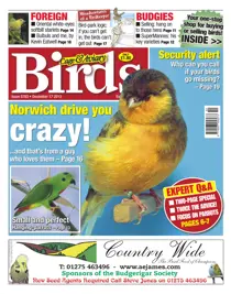 No.5783 Norwich drive you crazy! 
                issue No.5783 Norwich drive you crazy!