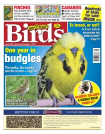 No.5784 A Year in Budgies 
                issue No.5784 A Year in Budgies