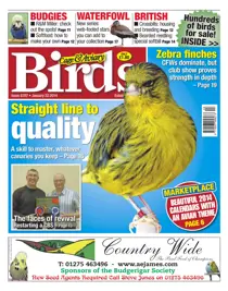 No.5787 Straight line to quality 
                issue No.5787 Straight line to quality