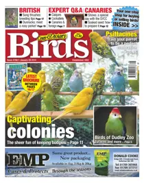 No.5788 Captivating colonies 
                issue No.5788 Captivating colonies