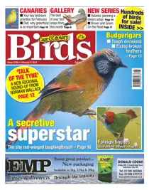 No.5789 A Secretive Superstar 
                issue No.5789 A Secretive Superstar