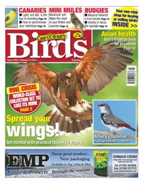 No.5790 Spread Your Wings 
                issue No.5790 Spread Your Wings