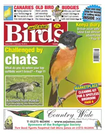 No.5791 Challenged by Chats 
                issue No.5791 Challenged by Chats