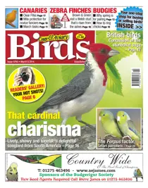 No.5793 That Cardinal Charisma 
                issue No.5793 That Cardinal Charisma