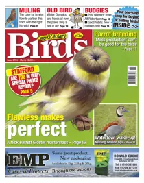 No.5794 Flawless Makes Perfect 
                issue No.5794 Flawless Makes Perfect