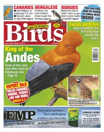 No.5796 King of the Andes 
                issue No.5796 King of the Andes