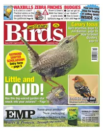 No.5797 Little & Loud 
                issue No.5797 Little & Loud