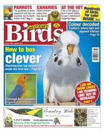 No.5798 How to Box Clever 
                issue No.5798 How to Box Clever