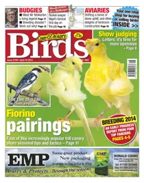 No.5799 Fiorino Pairings 
                issue No.5799 Fiorino Pairings