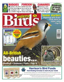 No.5800 All-British beauties... 
                issue No.5800 All-British beauties...