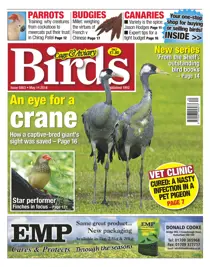 No.5803 An eye for a Crane 
                issue No.5803 An eye for a Crane