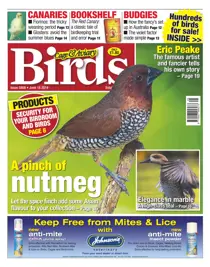 No.5808 A Pinch of Nutmeg 
                issue No.5808 A Pinch of Nutmeg