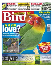 No.5809 Is it still love? 
                issue No.5809 Is it still love?