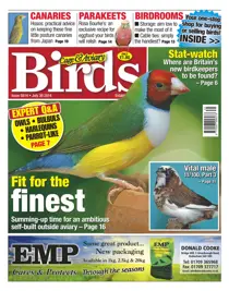 No.5814 Fit for the Finest 
                issue No.5814 Fit for the Finest