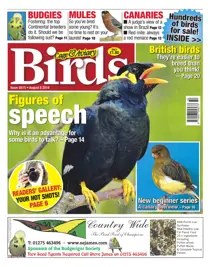 No.5815 Figures of Speech 
                issue No.5815 Figures of Speech