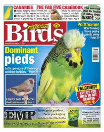 No.5816 Dominant Pieds 
                issue No.5816 Dominant Pieds