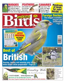 No.5817 Best of British 
                issue No.5817 Best of British