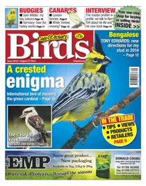 No.5818 A Crested Enigma 
                issue No.5818 A Crested Enigma