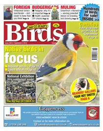 No.5819 Native birds in focus 
                issue No.5819 Native birds in focus