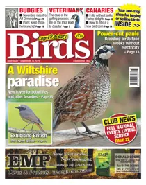 No.5820 A Wiltshire Paradise 
                issue No.5820 A Wiltshire Paradise