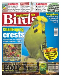 No.5822 Challenging Crests 
                issue No.5822 Challenging Crests