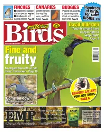 No.5823 FIne & Fruity 
                issue No.5823 FIne & Fruity