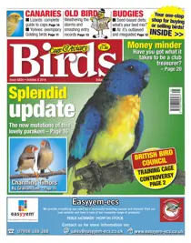 No.5824 Splendid Update 
                issue No.5824 Splendid Update