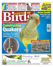 No.5826 Constructive Quakers 
                issue No.5826 Constructive Quakers