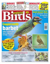 No.5827 Coppersmith Barbet 
                issue No.5827 Coppersmith Barbet