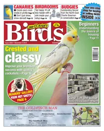 No.5828 Crested and Classy 
                issue No.5828 Crested and Classy