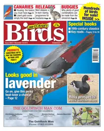 No.5830 Looks good in Lavender 
                issue No.5830 Looks good in Lavender