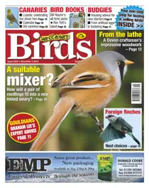 No.5832 A Suitable Mixer 
                issue No.5832 A Suitable Mixer