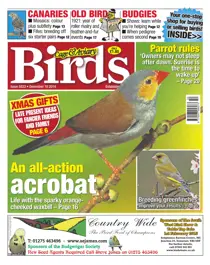 No.5833 An All-Action Acrobat 
                issue No.5833 An All-Action Acrobat