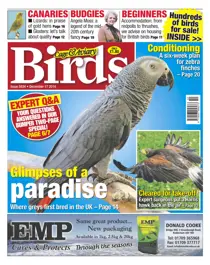 No.5834 Glimpses of a Paradise 
                issue No.5834 Glimpses of a Paradise